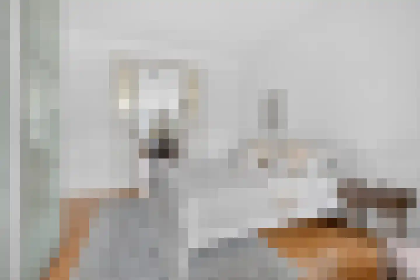 Nassaukade 306 2 Amsterdam thumbnail 16