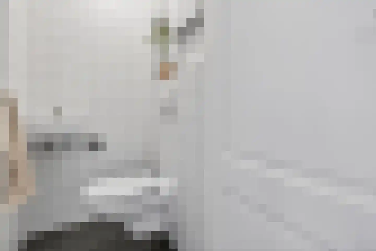 Nassaukade 306 2 Amsterdam thumbnail 33