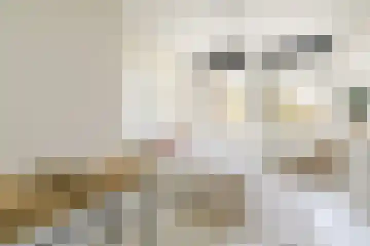 Nassaukade 307 4 Amsterdam thumbnail 10