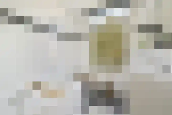 Nassaukade 307 4 Amsterdam thumbnail 19