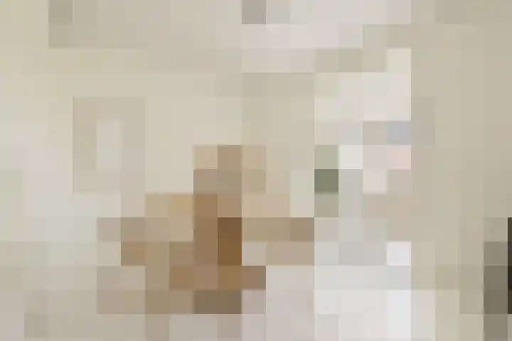 Nassaukade 307 4 Amsterdam thumbnail 7