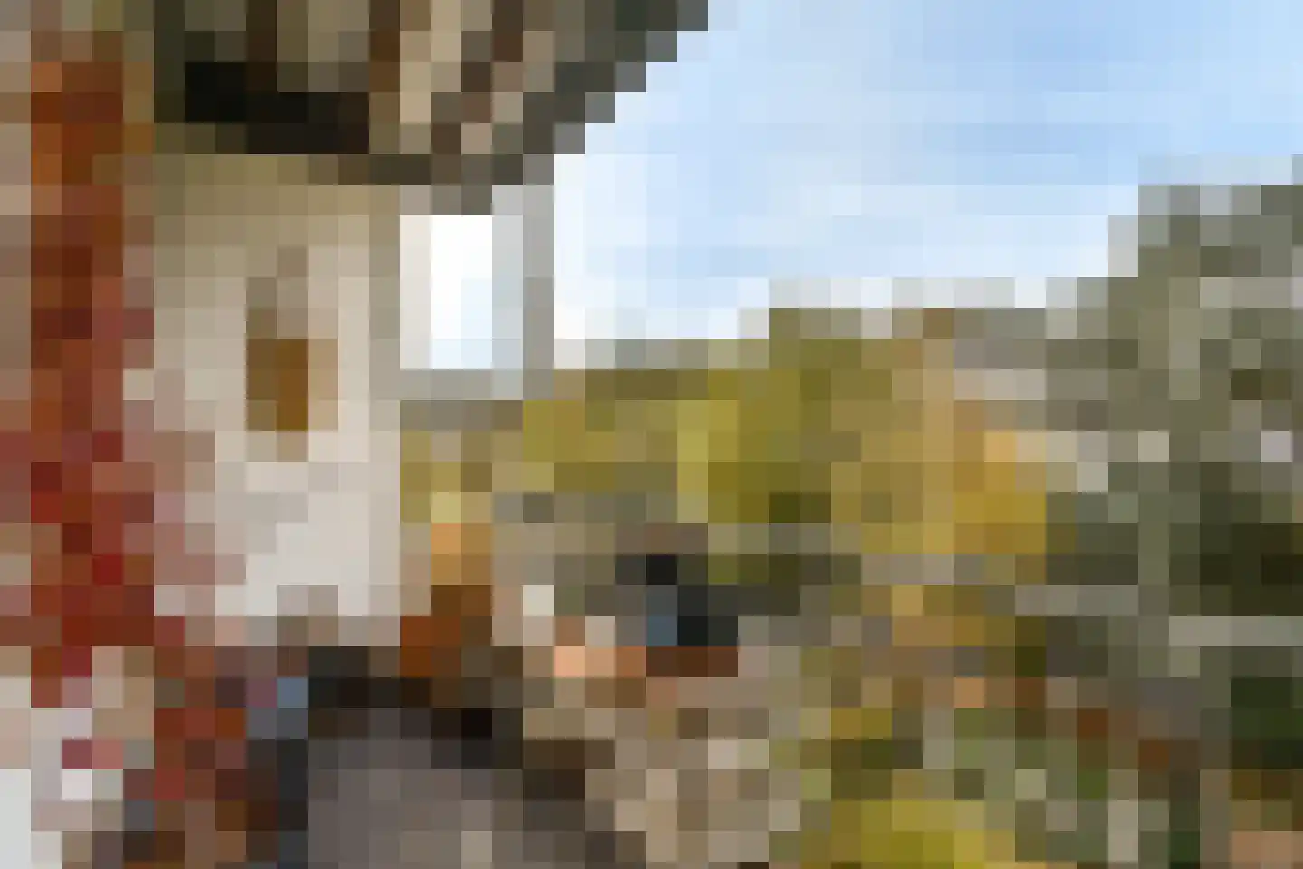 Nassaukade 312 2 Amsterdam thumbnail 14