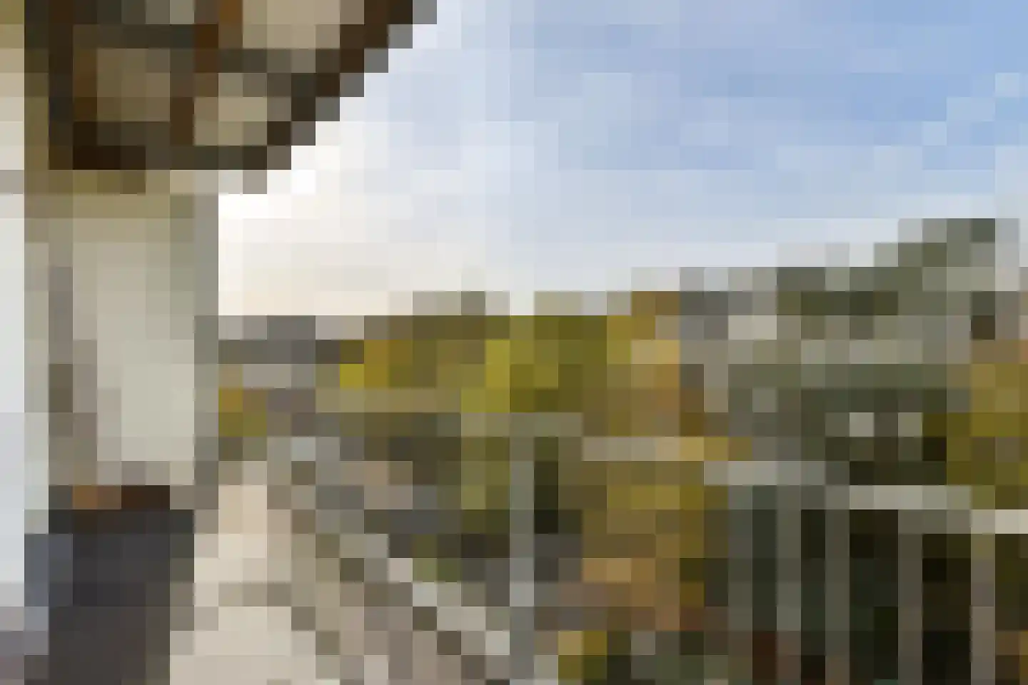 Nassaukade 312 3 Amsterdam thumbnail 27