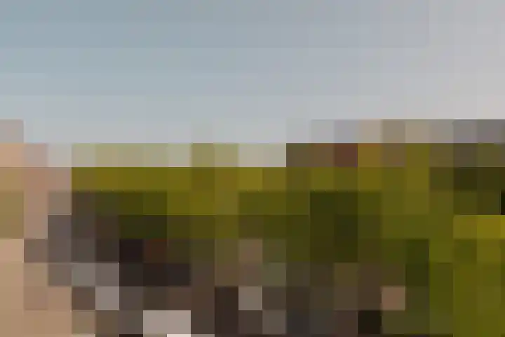 Nassaukade 318 H Amsterdam thumbnail 20