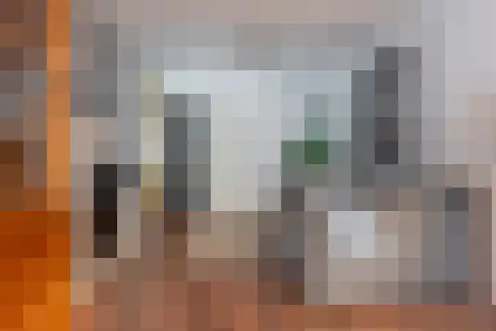 Nassaukade 318 H Amsterdam thumbnail 20