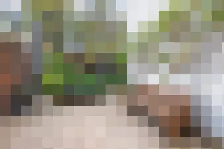 Nassaukade 318 H Amsterdam thumbnail 33