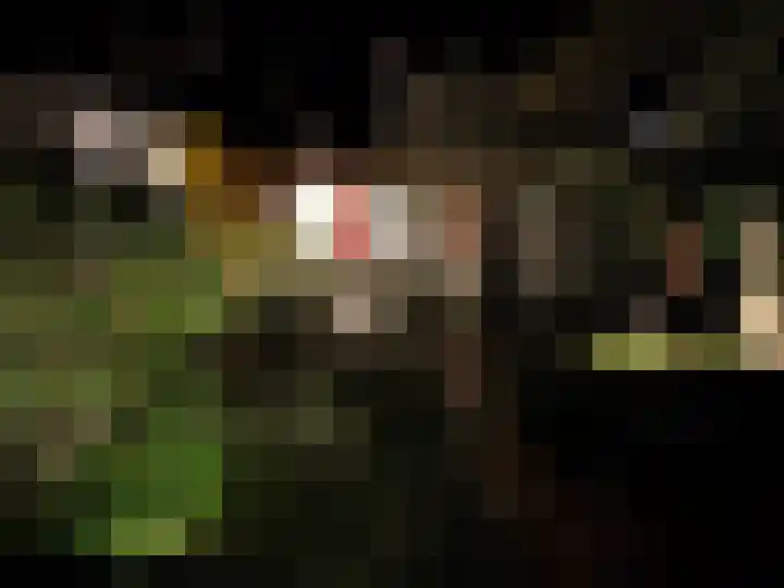 Nassaukade 318 H Amsterdam thumbnail 35