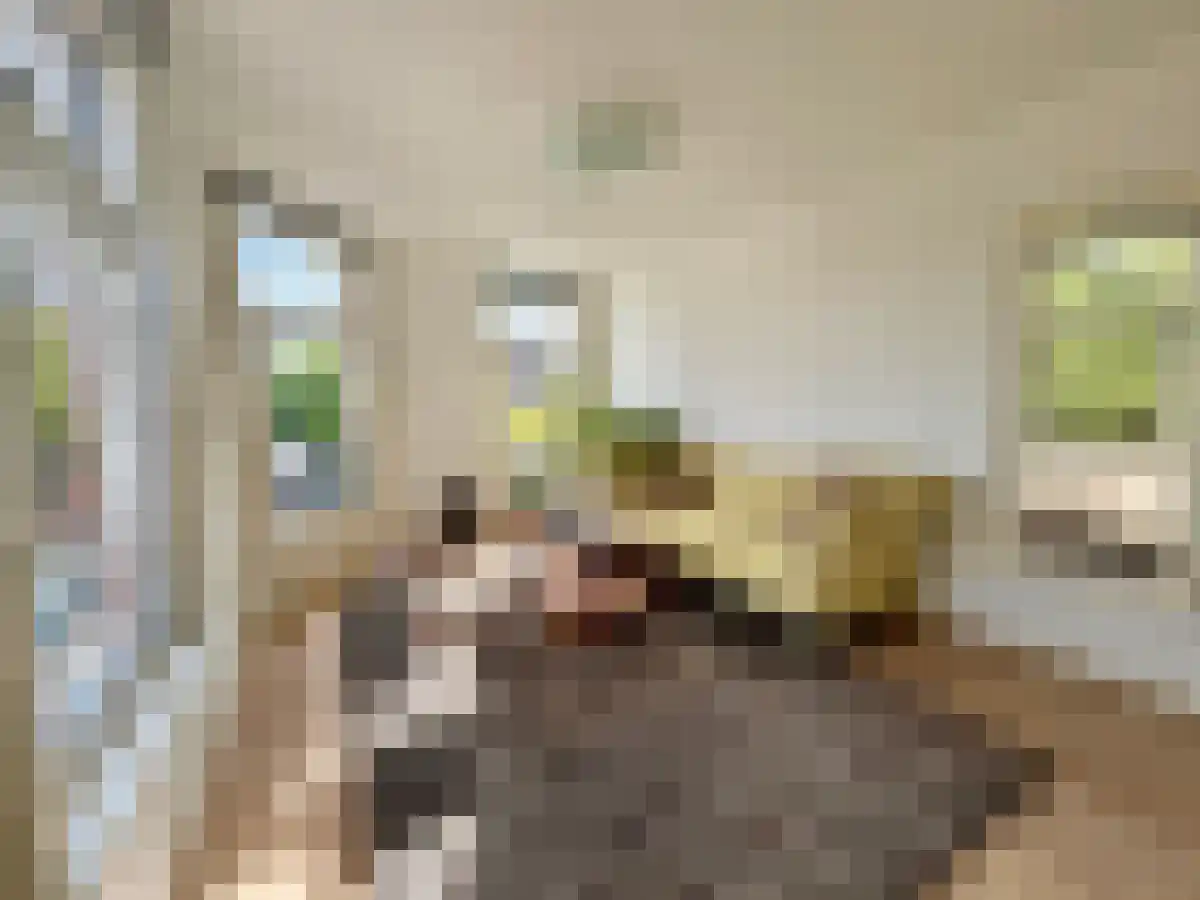 Nassaukade 332 3 Amsterdam thumbnail 4