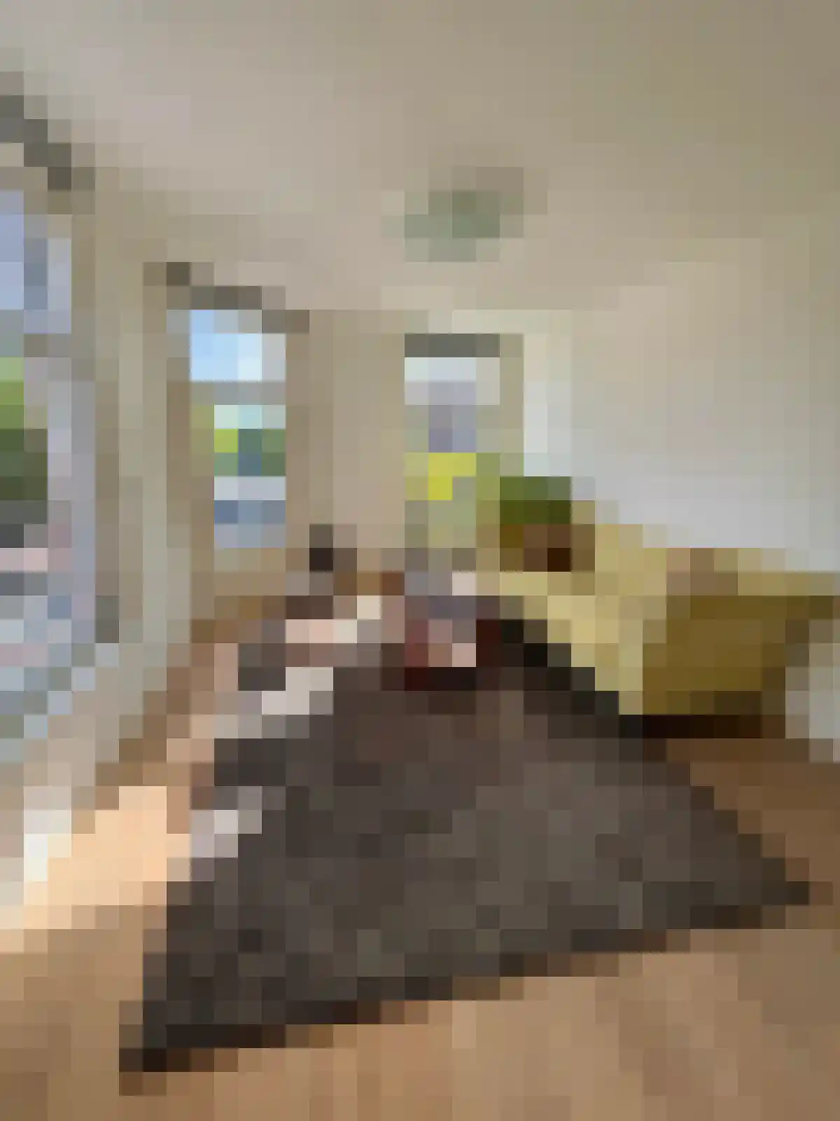 Nassaukade 332 3 Amsterdam thumbnail 5
