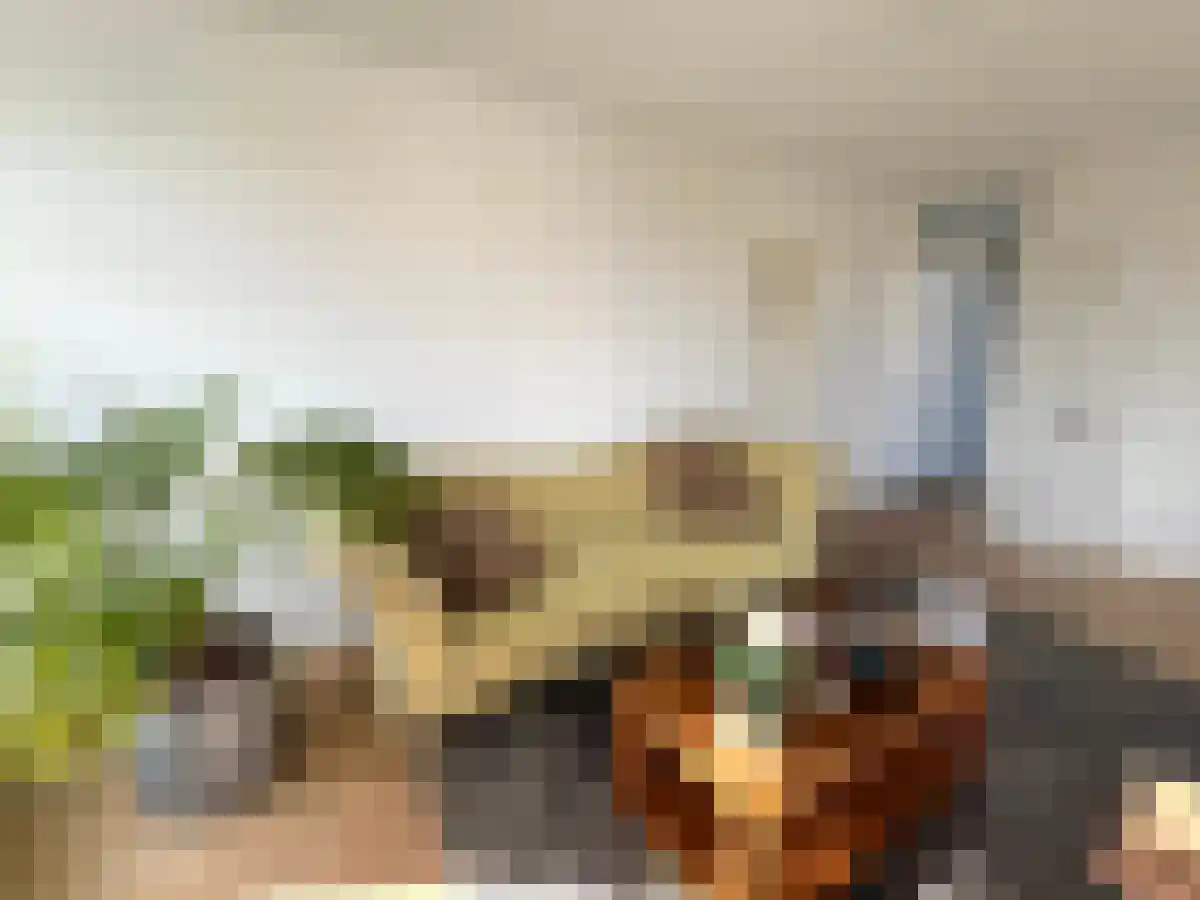 Nassaukade 332 3 Amsterdam thumbnail 6