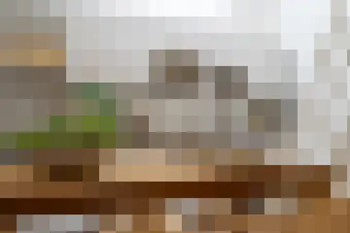 Nassaukade 335 H Amsterdam thumbnail 17