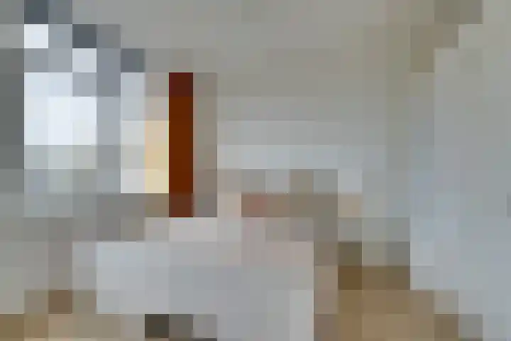 Nassaukade 335 H Amsterdam thumbnail 25