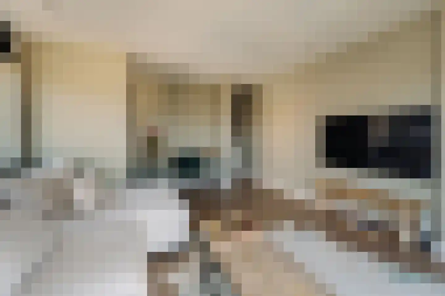 Nassaukade 340 P Amsterdam thumbnail 11