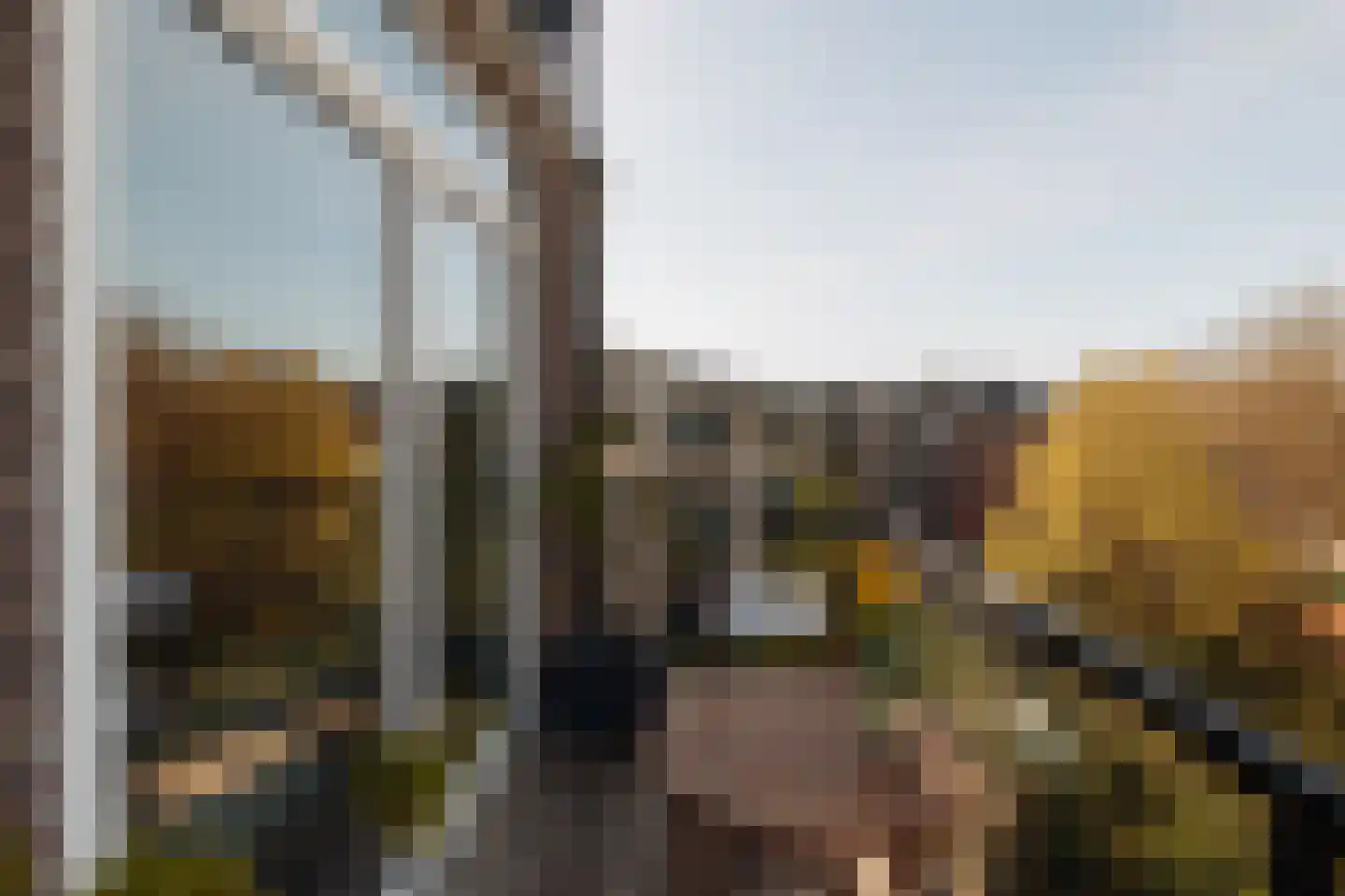 Nassaukade 340 P Amsterdam thumbnail 12