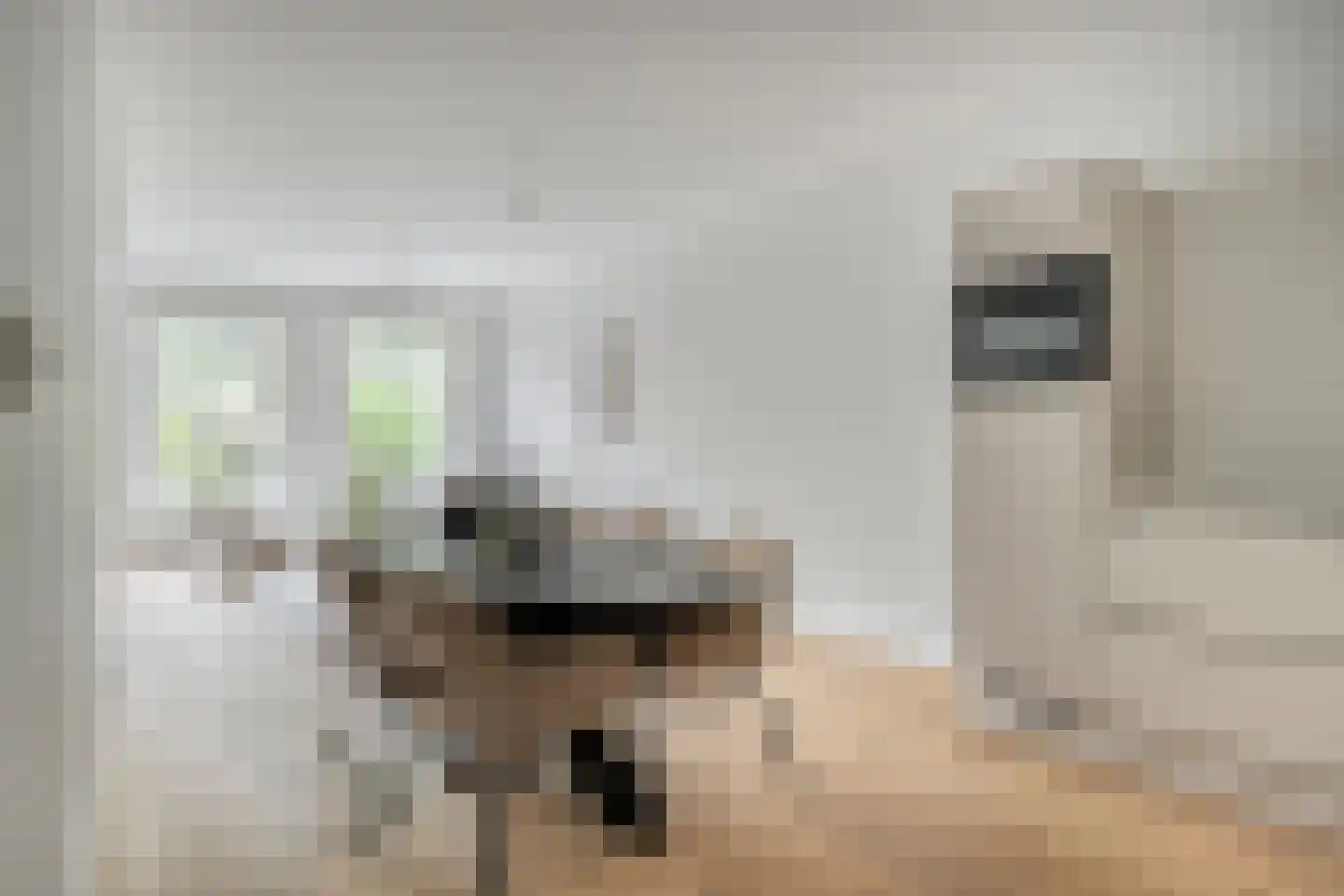 Nassaukade 352 1 Amsterdam thumbnail 7
