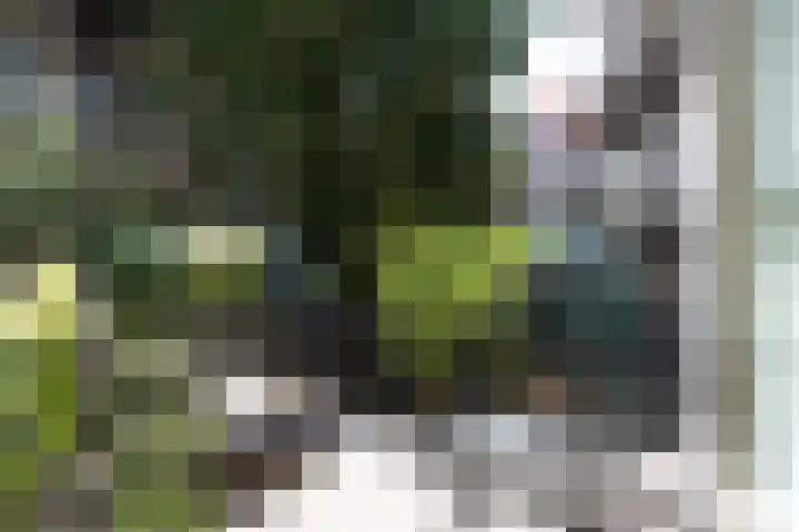 Nassaukade 353 2 Amsterdam thumbnail 17