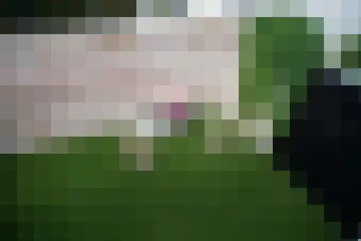 Nassaukade 353 2 Amsterdam thumbnail 24