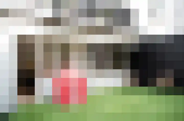 Nassaukade 353 2 Amsterdam thumbnail 35