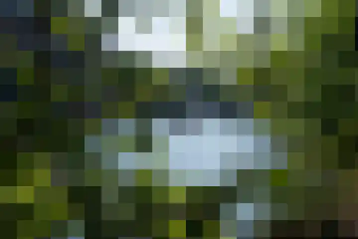 Nassaukade 353 2 Amsterdam thumbnail 39