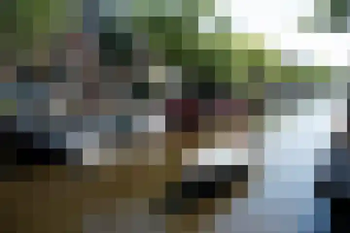 Nassaukade 353 2 Amsterdam thumbnail 40