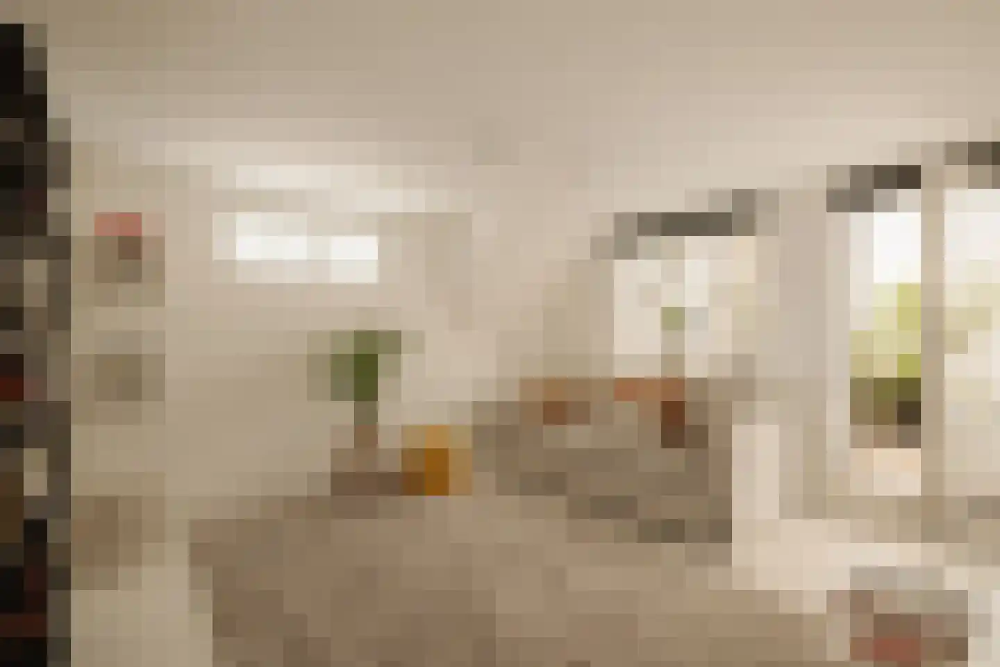 Nassaukade 355 H Amsterdam thumbnail 32