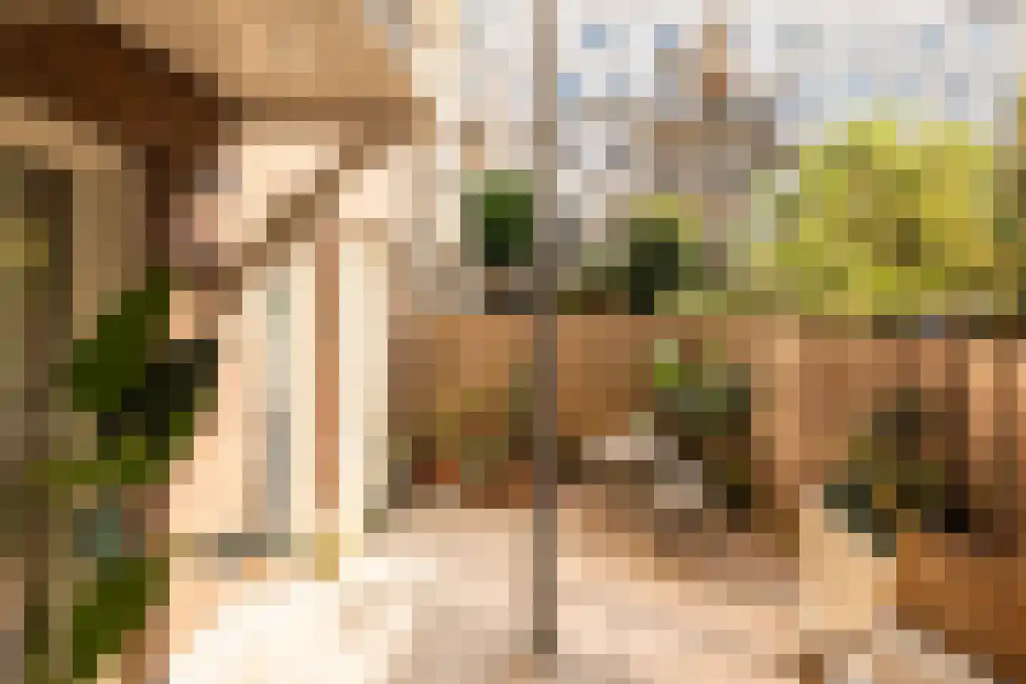 Nassaukade 356 C Amsterdam thumbnail 16