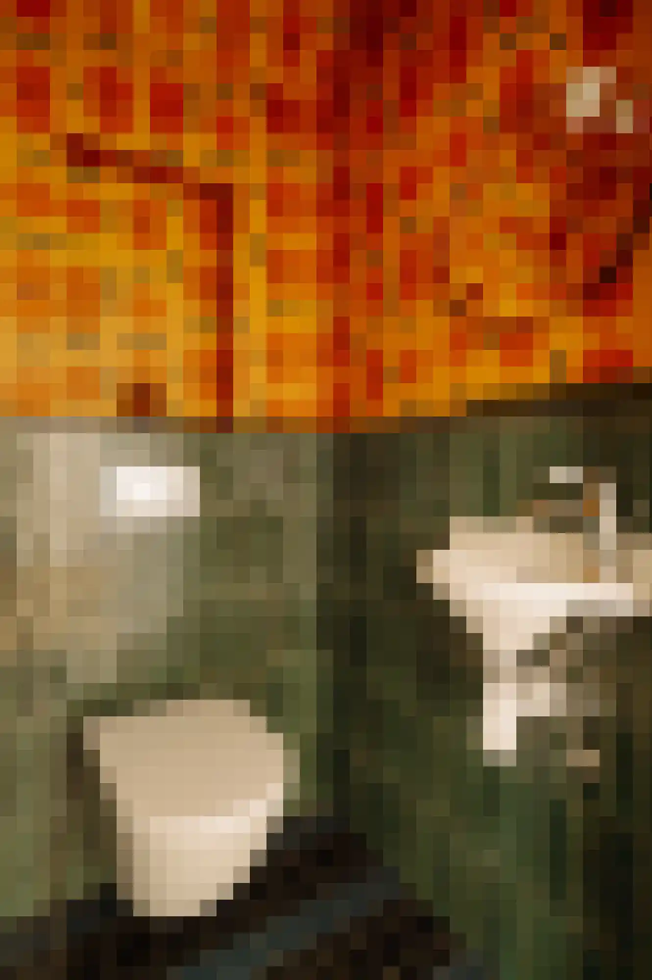 Nassaukade 356 C Amsterdam thumbnail 27