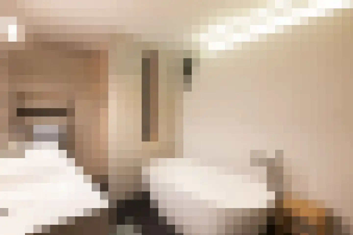 Nassaukade 356 C Amsterdam thumbnail 29