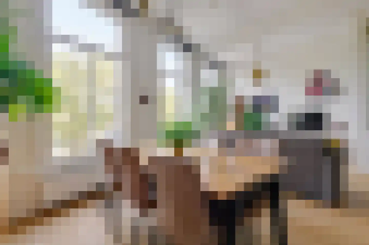 Nassaukade 358 1 Amsterdam thumbnail 15