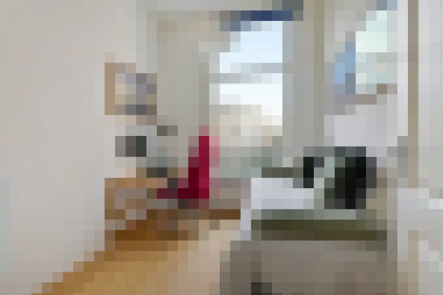 Nassaukade 358 1 Amsterdam thumbnail 26