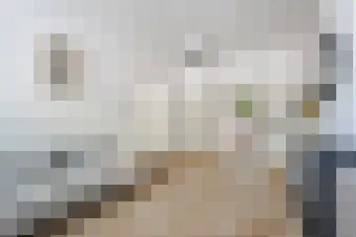 Nassaukade 360 2 Amsterdam thumbnail 10