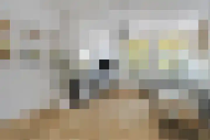 Nassaukade 360 2 Amsterdam thumbnail 12