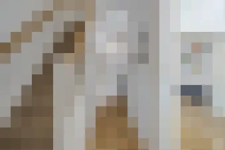 Nassaukade 360 2 Amsterdam thumbnail 14
