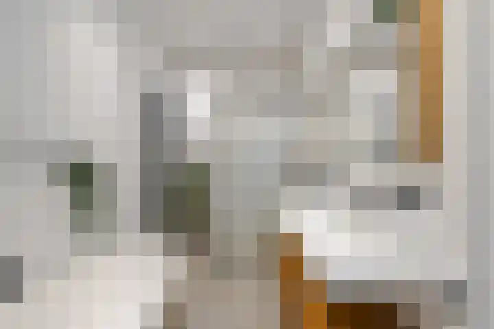 Nassaukade 360 2 Amsterdam thumbnail 18