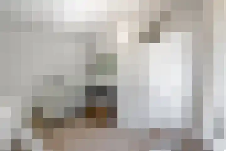 Nassaukade 360 2 Amsterdam thumbnail 23