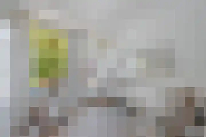Nassaukade 360 2 Amsterdam thumbnail 24