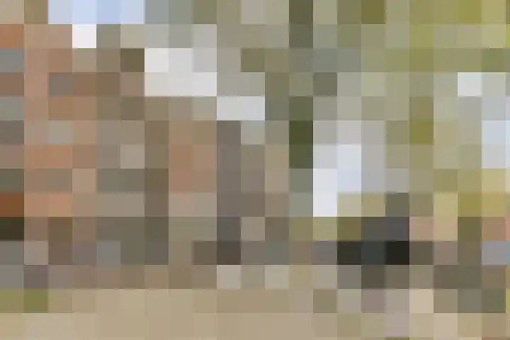 Nassaukade 360 2 Amsterdam thumbnail 32