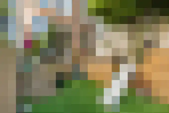 Nassaukade 360 2 Amsterdam thumbnail 4