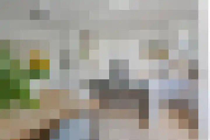 Nassaukade 360 2 Amsterdam thumbnail 6