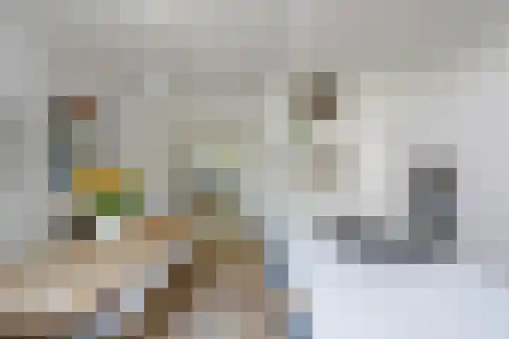 Nassaukade 360 2 Amsterdam thumbnail 8