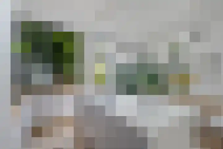 Nassaukade 360 2 Amsterdam thumbnail 9