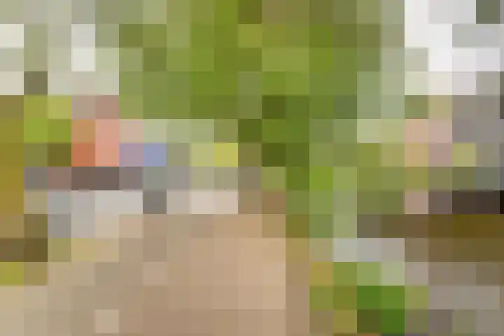 Nassaukade 361 3 Amsterdam thumbnail 31