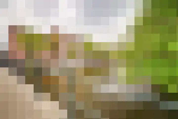 Nassaukade 361 3 Amsterdam thumbnail 32