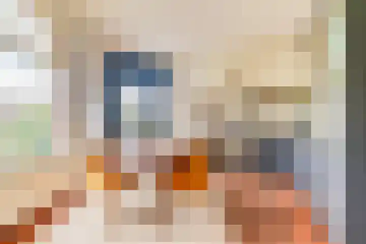 Nassaukade 361 3 Amsterdam thumbnail 9