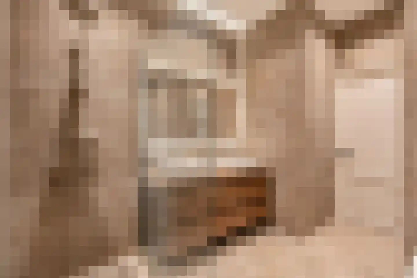 Nassaukade 364 1 Amsterdam thumbnail 17