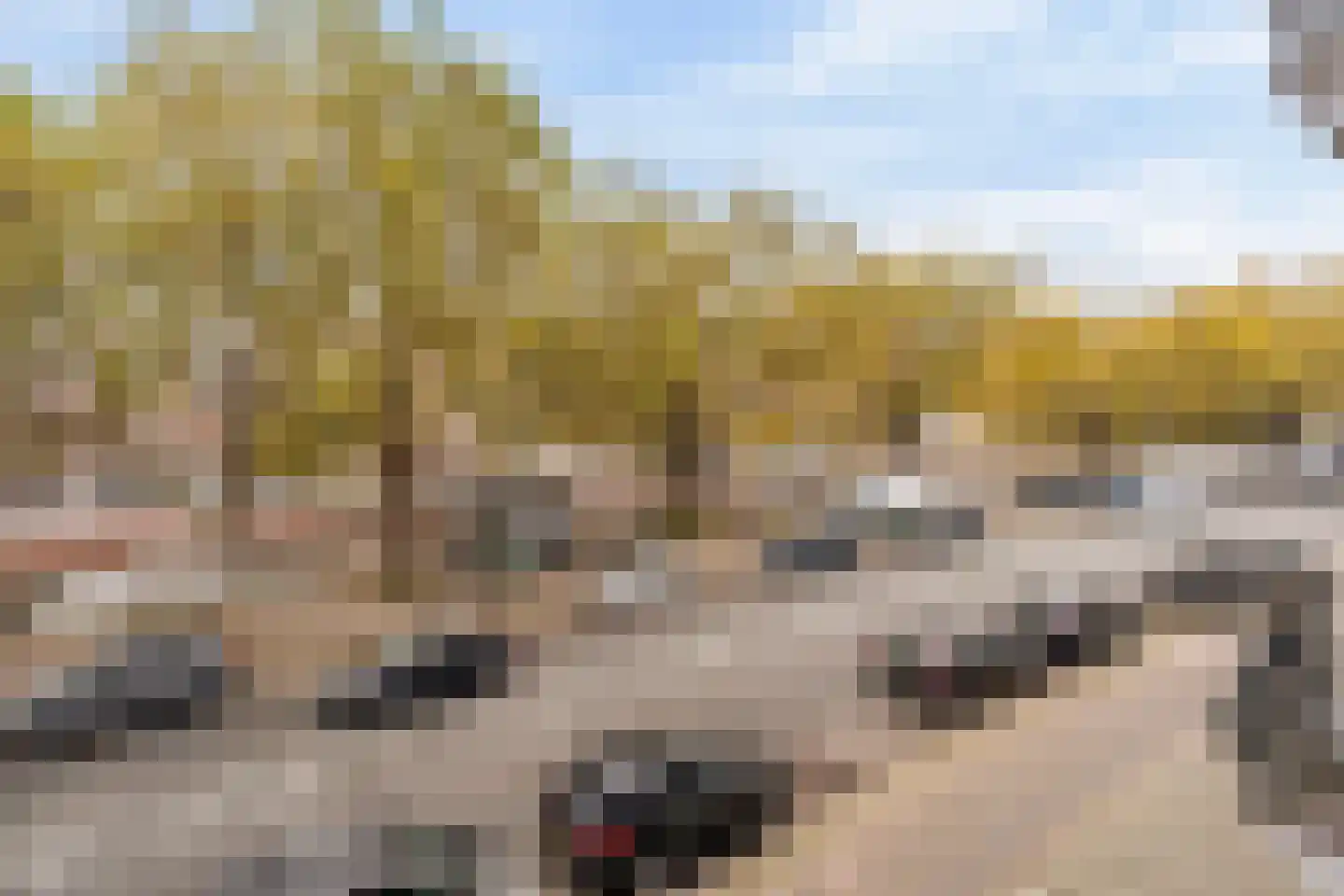 Nassaukade 364 1 Amsterdam thumbnail 30