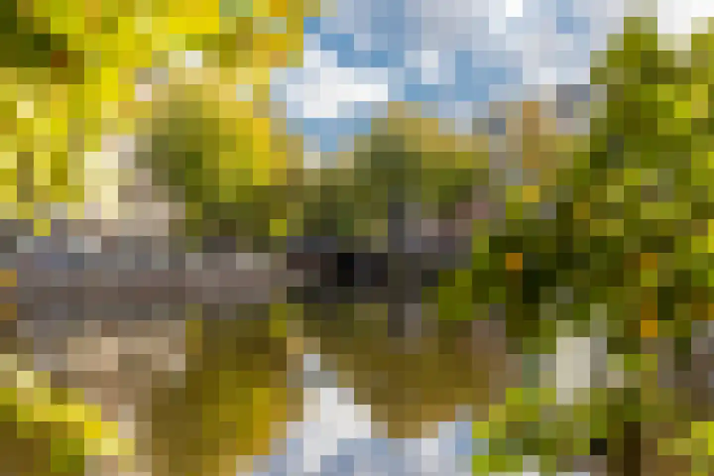 Nassaukade 372 3A Amsterdam thumbnail 34