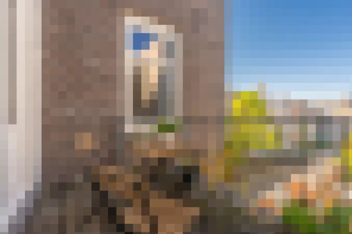 Nassaukade 372 3A Amsterdam thumbnail 9