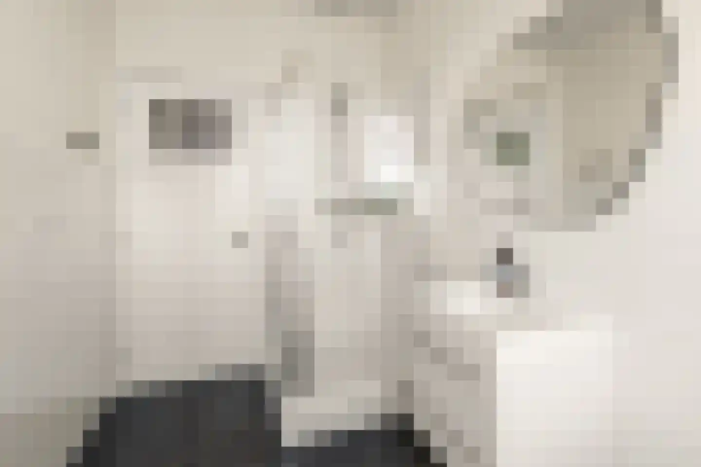 Nassaukade 39 3 Amsterdam thumbnail 31