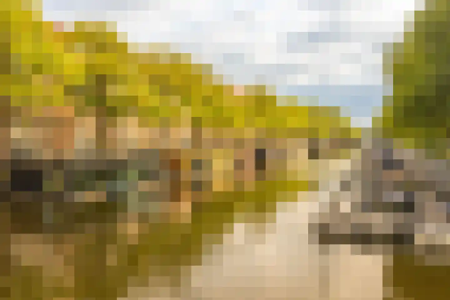 Nassaukade 39 3 Amsterdam thumbnail 40